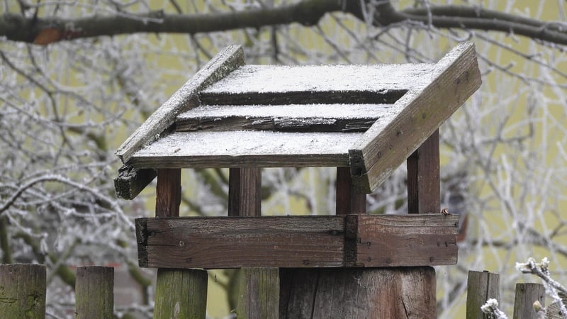 DIY Bird Feeders